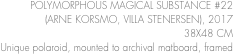 POLYMORPHOUS MAGICAL SUBSTANCE #22
(ARNE KORSMO, VILLA STENERSEN), 201738X48 CM
Unique polaroid, mounted to archival matboard, framed